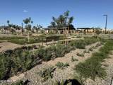 6860 Crosscreek Drive - Photo 17