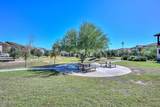 12330 Cactus Blossom Trail - Photo 37