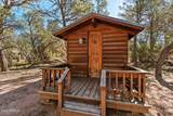 2948 Wildcat Trail - Photo 33