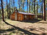 247 Diamond Road - Photo 36