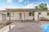 607 Palm Circle - Photo 33