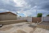 3849 Sheena Drive - Photo 54