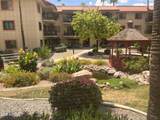 10330 Thunderbird Boulevard - Photo 18