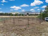 5545 Atkinson Road - Photo 43