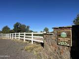 7065 Tulip Trail - Photo 6