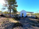 35155 Turtle Creek Road - Photo 63
