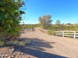 35155 Turtle Creek Road - Photo 65