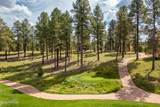 3345 Ghost Tree Drive - Photo 30