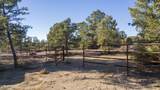 3555 Stafford Road - Photo 41