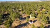 3555 Stafford Road - Photo 53