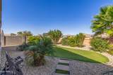 41844 Rosa Drive - Photo 43