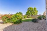 41844 Rosa Drive - Photo 44