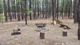 4 County Road 2089 - Photo 12