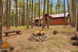 4 County Road 2089 - Photo 41