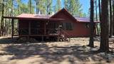4 County Road 2089 - Photo 8