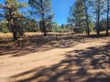 TBD Cedar Bark Trail Parcel #4 - Photo 4