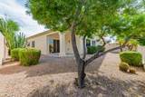 786 Catalina Street - Photo 29