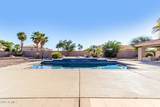 11733 Starflower Drive - Photo 41