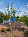 34848 Desert Ridge Drive - Photo 48