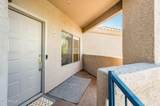11680 Sahuaro Drive - Photo 15