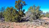 5690 Cubby Bear Way - Photo 5