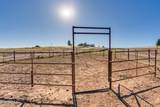 4 Mustang Trail - Photo 103