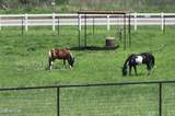 4 Mustang Trail - Photo 2