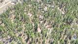 1103 Ranch Road - Photo 75