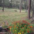 1103 Ranch Road - Photo 79