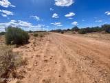 4577 Pinto Road - Photo 10