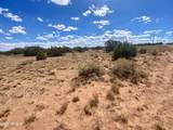 4577 Pinto Road - Photo 11
