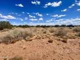 4577 Pinto Road - Photo 16