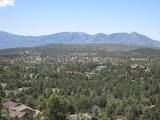 1003 Falcon Lookout Lane - Photo 9