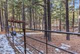 511 Mule Springs Trail - Photo 35