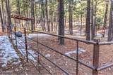 511 Mule Springs Trail - Photo 42
