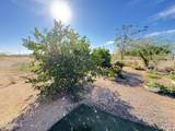 30515 Morning Vista Lane - Photo 40