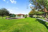 13769 Blossom Way - Photo 43