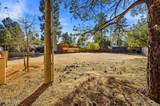 2880 Paint Pony Lane - Photo 32