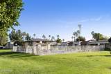 557 Palo Verde Way - Photo 19