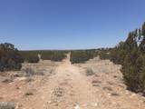 SE 10 Acre 17Xx Buffington Hill Road - Photo 15
