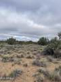 4750 Crazy Horse Circle - Photo 11