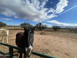 5751 Red Tail Lane - Photo 8
