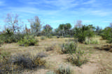 10 Acres Roadrunner Lot E Lane - Photo 30