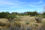 10 Acres Roadrunner Lot E Lane - Photo 31
