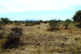 10 Acres Roadrunner Lot E Lane - Photo 36