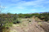 10 Acres Roadrunner Lot E Lane - Photo 6