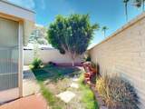 10361 Campana Drive - Photo 40