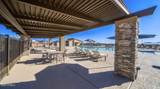 4198 Brittlebush Lane - Photo 41
