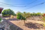 320 Orange Drive - Photo 30