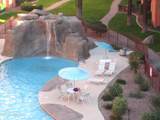 4303 Cactus Road - Photo 1